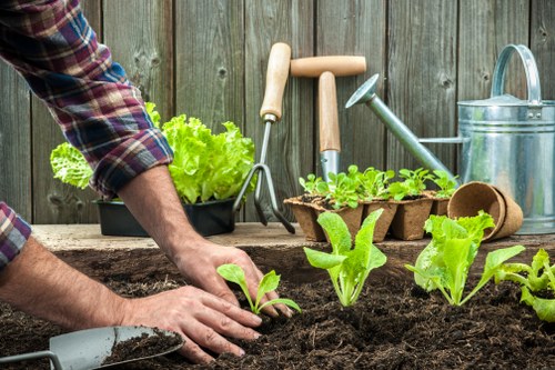 Donation of usable garden tools to a local charity community garden