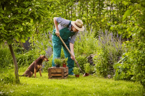 Inspector reviewing lawn maintenance records on site