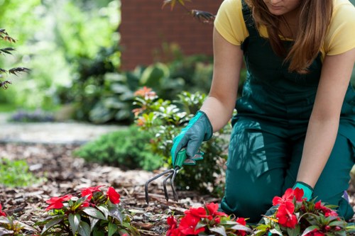 Team member wearing PPE and operating a strimmer