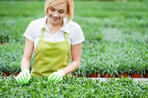 Landscape worker assessing a garden before mowing
