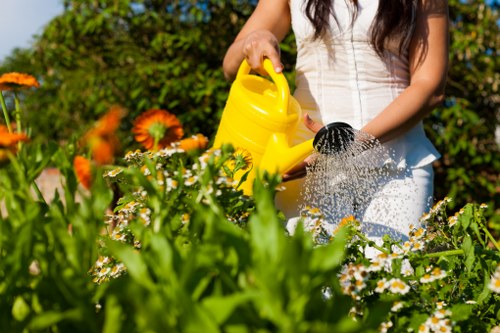 Reliable lawn mowing service in Woolwich